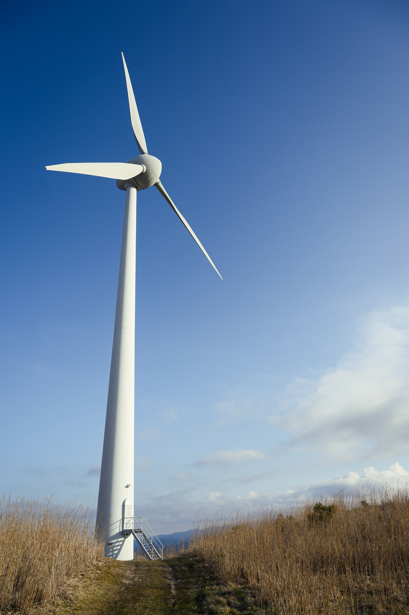 f:id:daitai_Iro:20210413223115j:plain