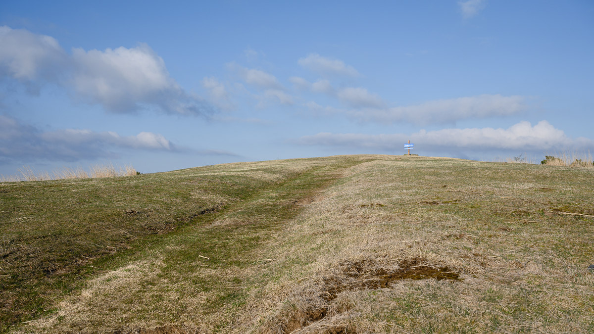 f:id:daitai_Iro:20210414195147j:plain