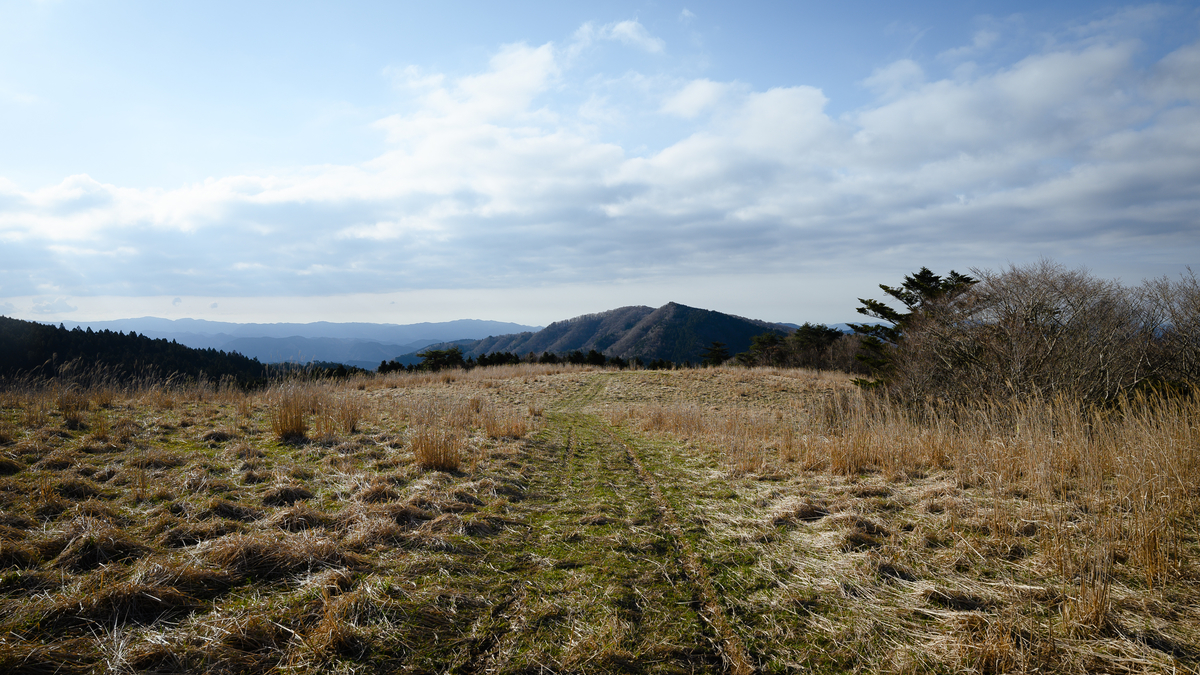 f:id:daitai_Iro:20210414195704j:plain