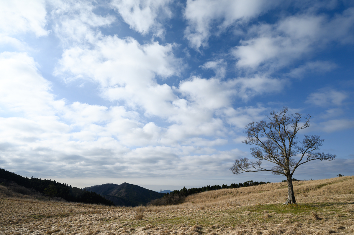 f:id:daitai_Iro:20210414205129j:plain