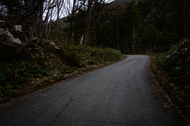 f:id:daitai_Iro:20210430181715j:plain