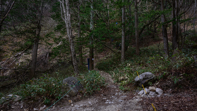 f:id:daitai_Iro:20210430181742j:plain