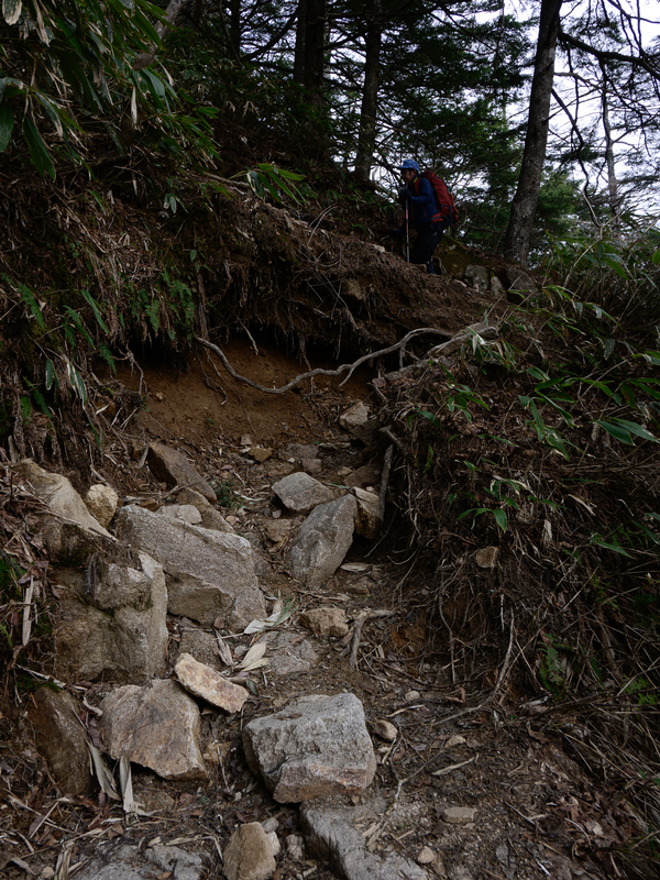 f:id:daitai_Iro:20210430181758j:plain