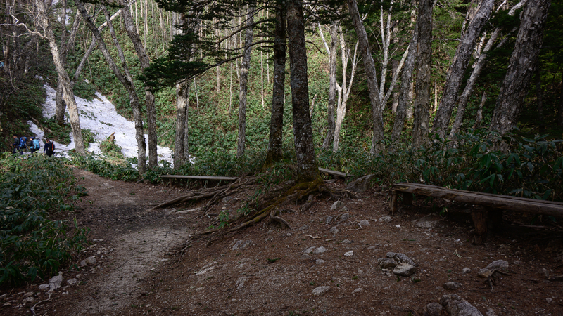 f:id:daitai_Iro:20210430181832j:plain