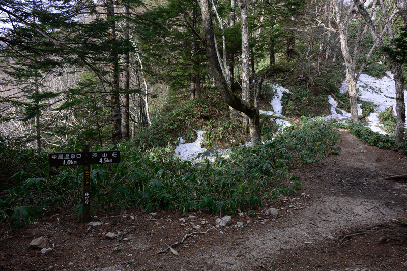 f:id:daitai_Iro:20210430181841j:plain