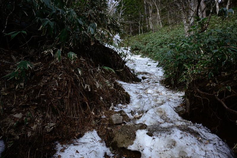 f:id:daitai_Iro:20210430181850j:plain