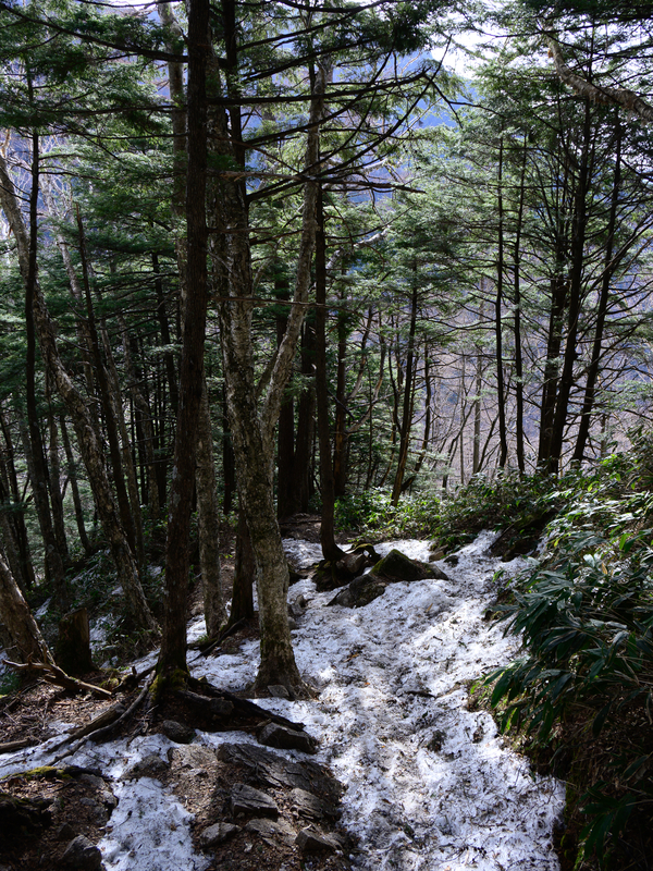 f:id:daitai_Iro:20210430181859j:plain