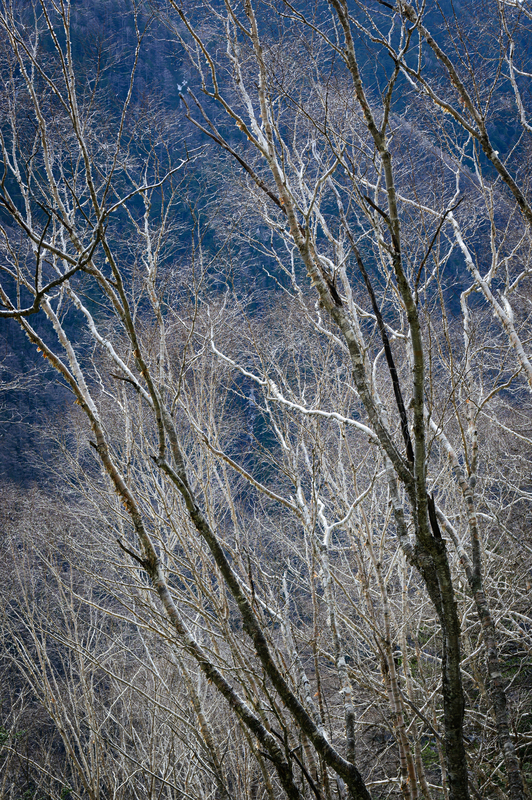 f:id:daitai_Iro:20210430181908j:plain