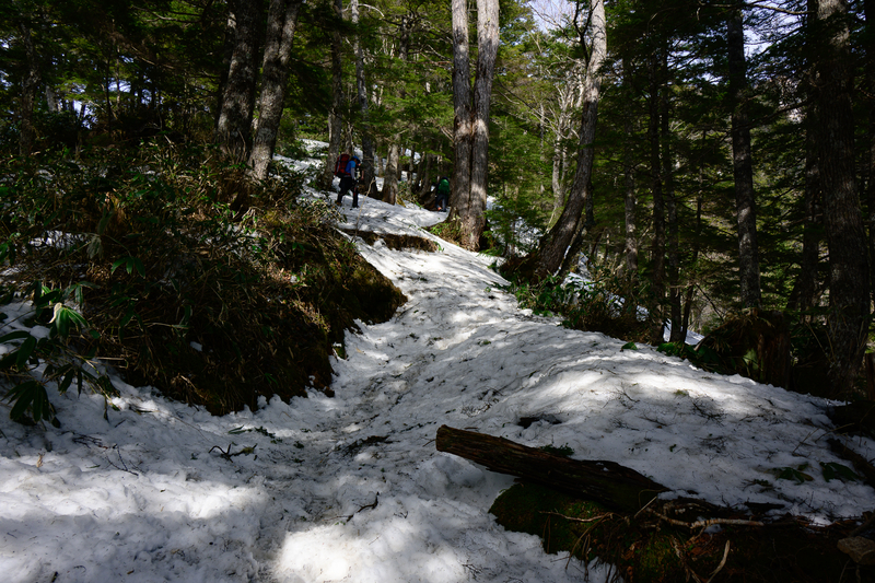 f:id:daitai_Iro:20210430182001j:plain