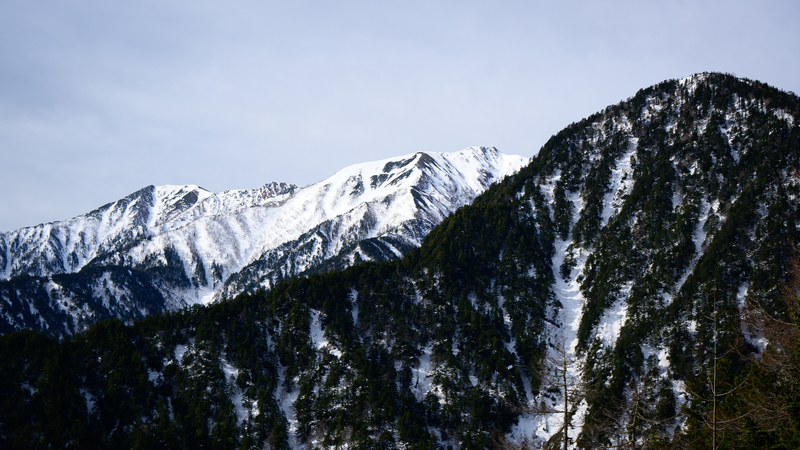 f:id:daitai_Iro:20210430182011j:plain