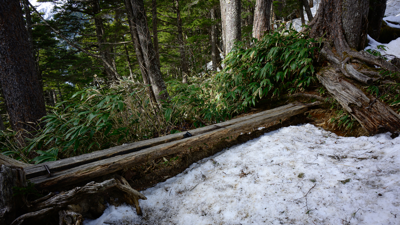 f:id:daitai_Iro:20210430182028j:plain