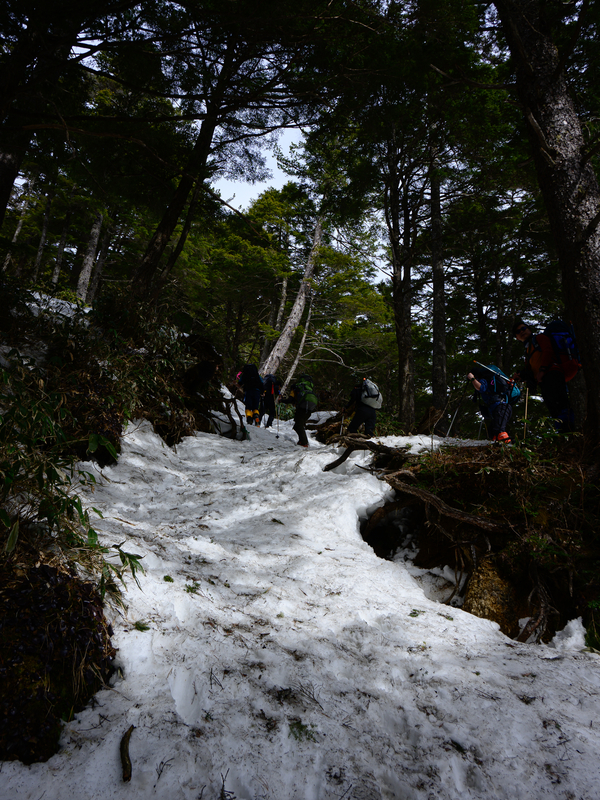 f:id:daitai_Iro:20210430182044j:plain