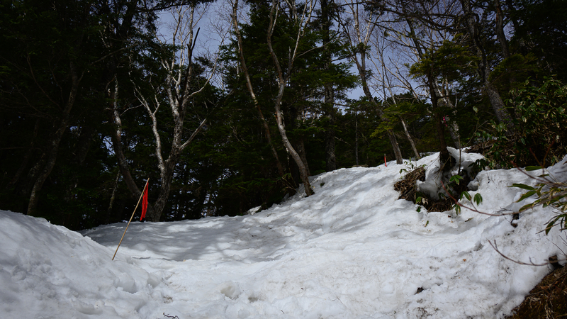 f:id:daitai_Iro:20210430182053j:plain