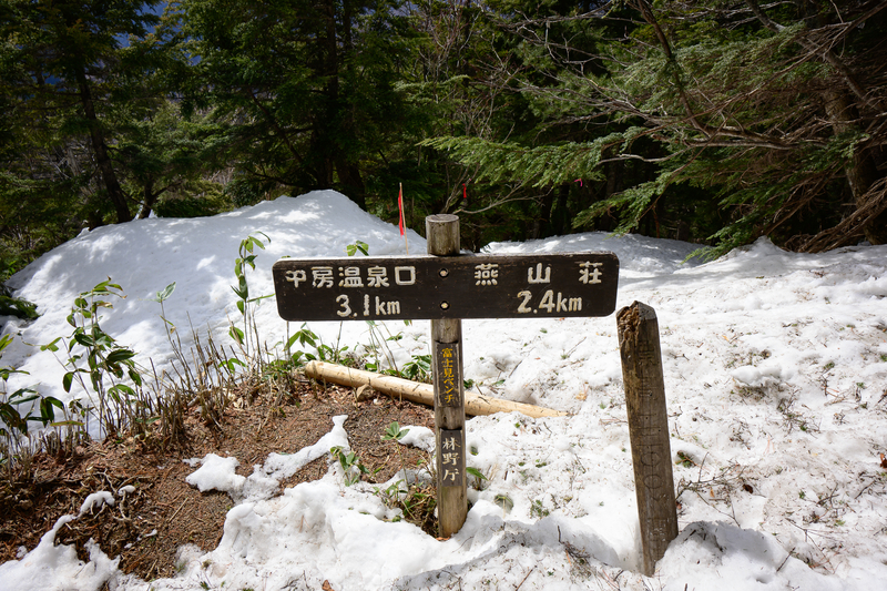 f:id:daitai_Iro:20210430182113j:plain