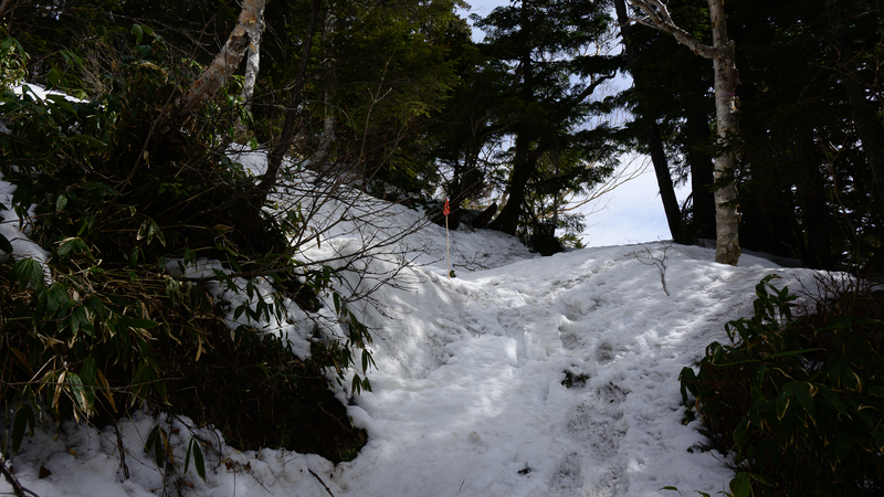 f:id:daitai_Iro:20210430182131j:plain