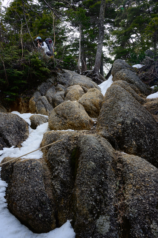 f:id:daitai_Iro:20210430182150j:plain