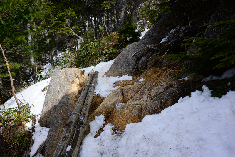 f:id:daitai_Iro:20210430182158j:plain