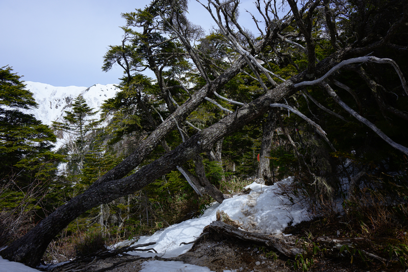 f:id:daitai_Iro:20210430182208j:plain