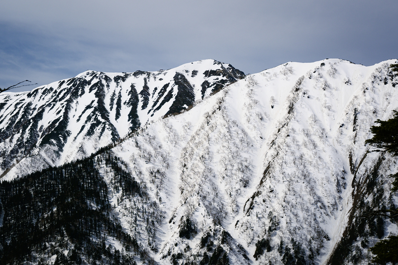 f:id:daitai_Iro:20210430182217j:plain