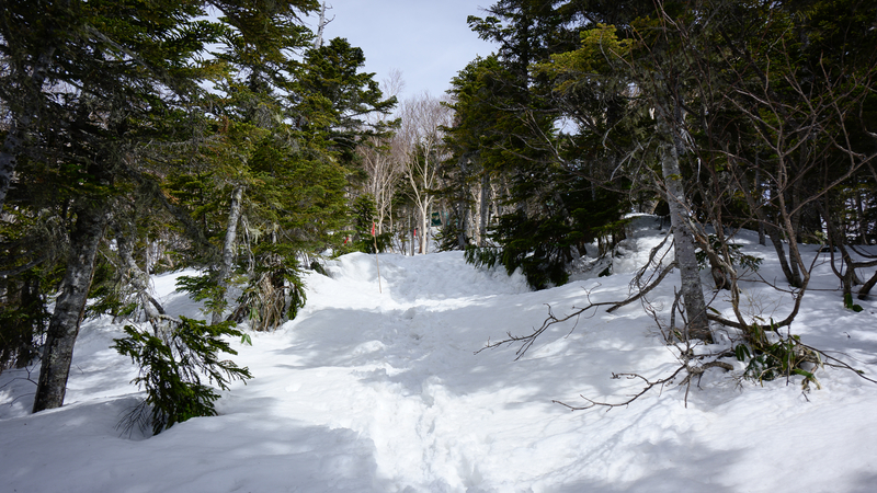 f:id:daitai_Iro:20210430182226j:plain