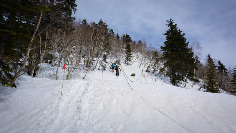 f:id:daitai_Iro:20210430182253j:plain