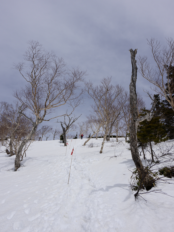 f:id:daitai_Iro:20210430182302j:plain