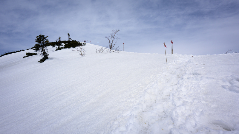 f:id:daitai_Iro:20210430182340j:plain