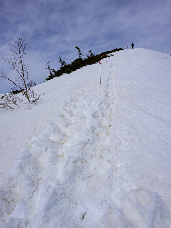 f:id:daitai_Iro:20210430182400j:plain