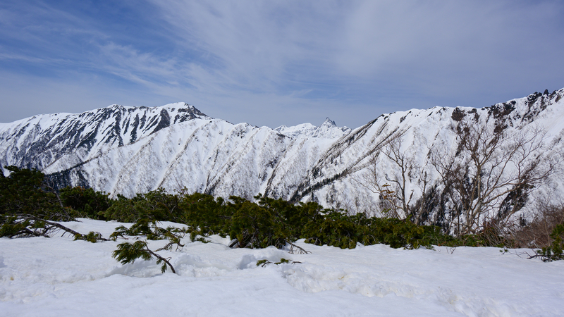 f:id:daitai_Iro:20210430182435j:plain