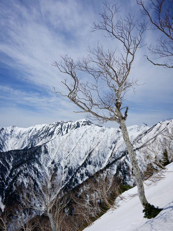 f:id:daitai_Iro:20210430182442j:plain