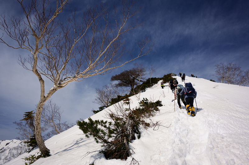 f:id:daitai_Iro:20210430182450j:plain