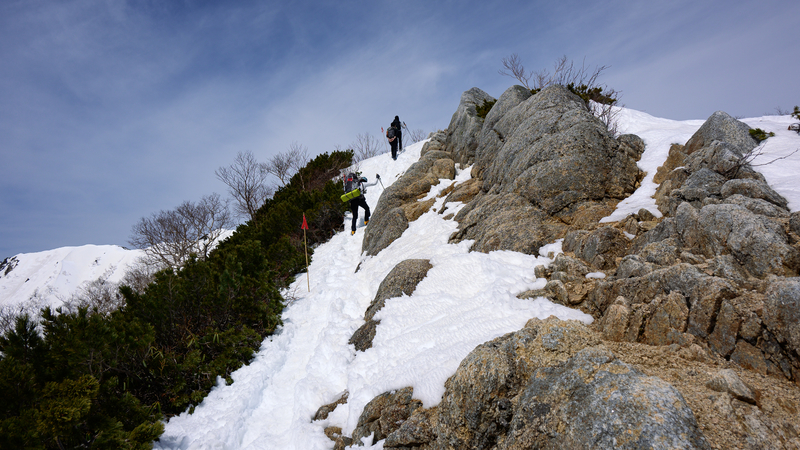 f:id:daitai_Iro:20210430182459j:plain