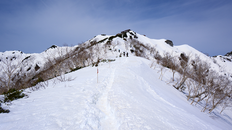 f:id:daitai_Iro:20210430182507j:plain