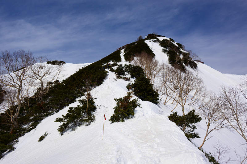 f:id:daitai_Iro:20210430182551j:plain