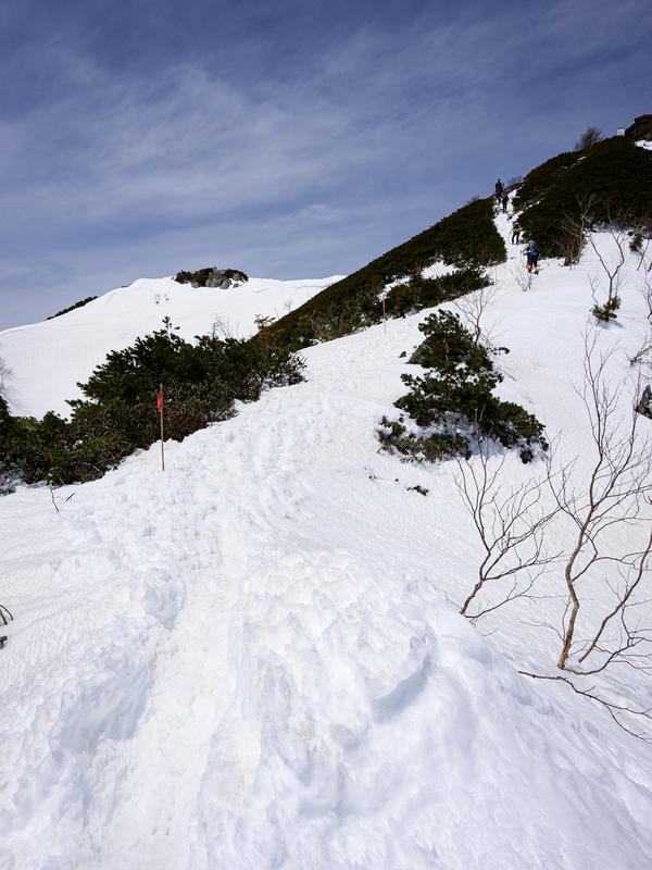 f:id:daitai_Iro:20210430182601j:plain