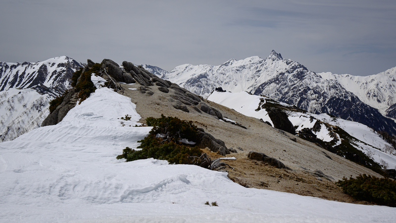 f:id:daitai_Iro:20210430182648j:plain