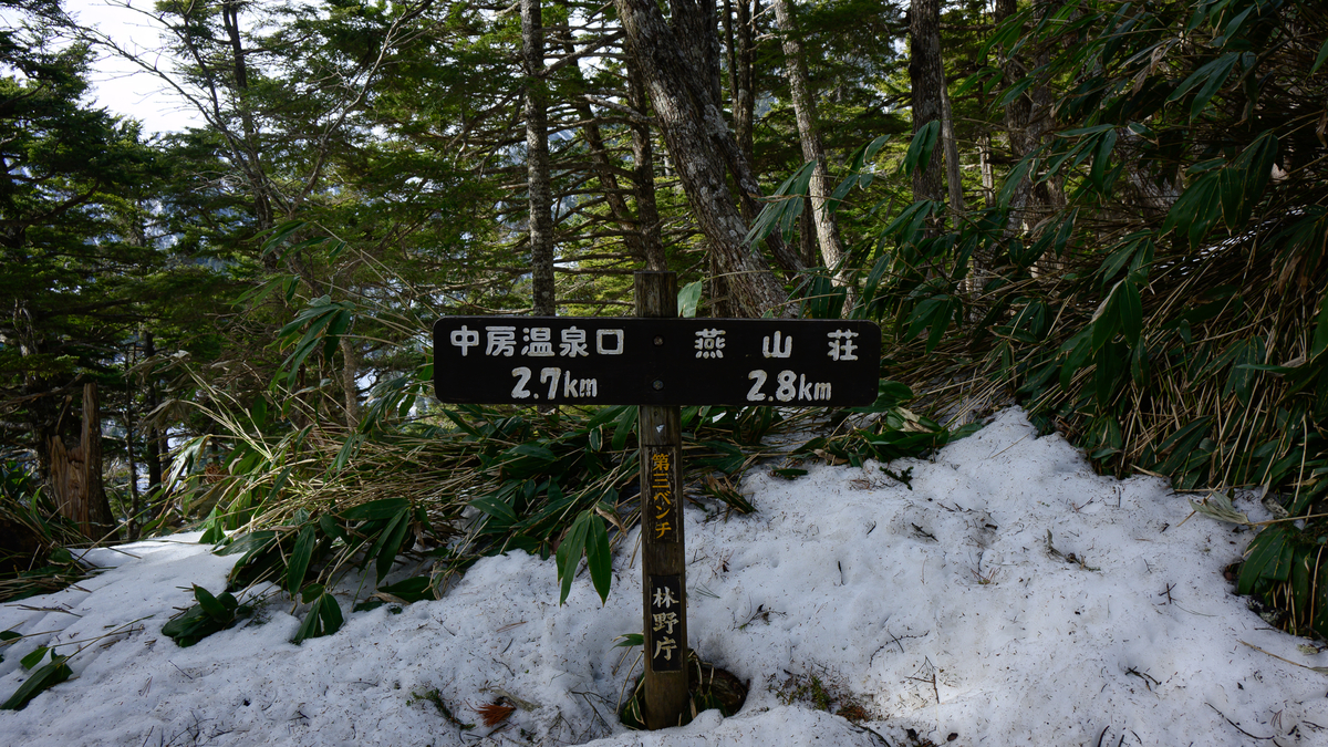 f:id:daitai_Iro:20210504213939j:plain