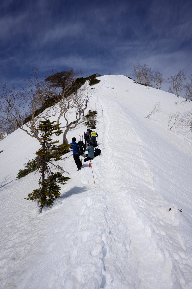 f:id:daitai_Iro:20210504221243j:plain