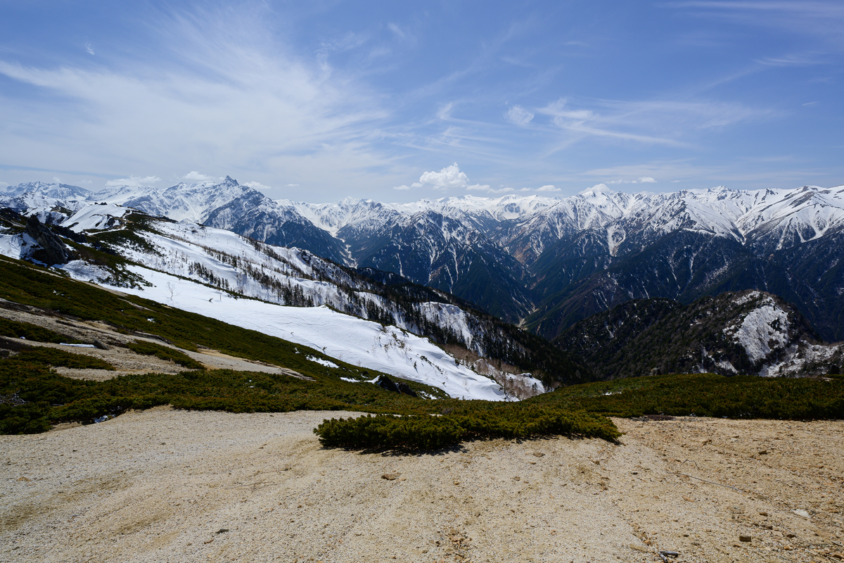 f:id:daitai_Iro:20210505201444j:plain