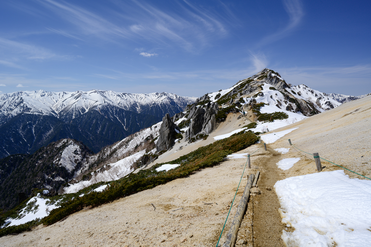 f:id:daitai_Iro:20210505201521j:plain