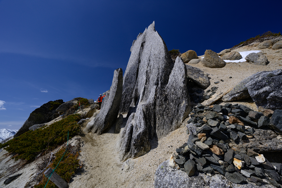 f:id:daitai_Iro:20210505202611j:plain