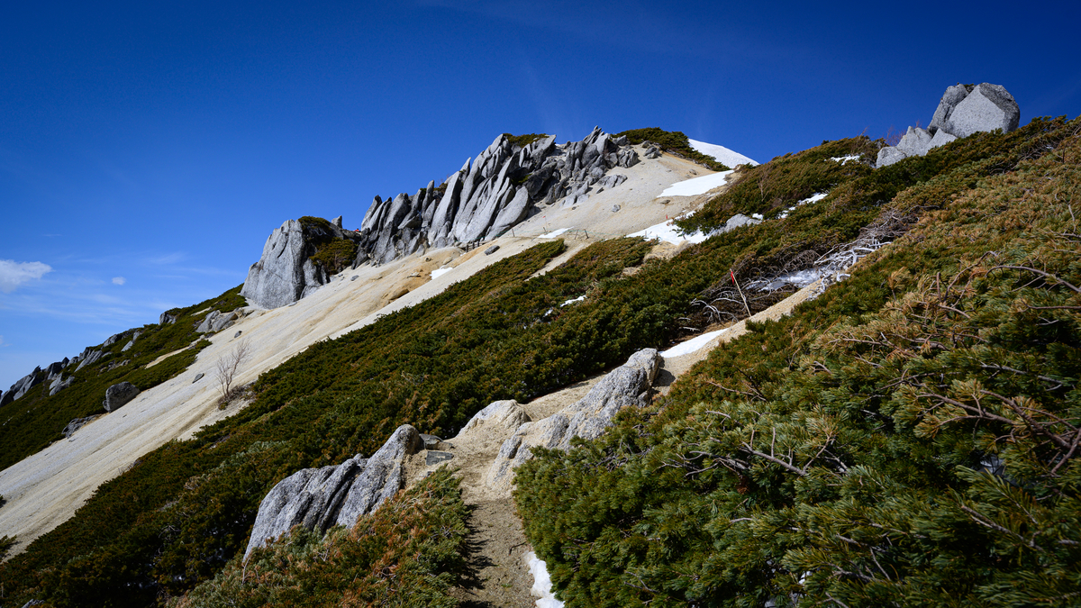 f:id:daitai_Iro:20210505202727j:plain