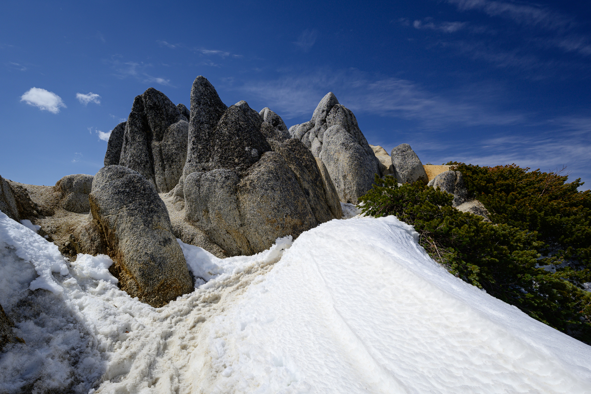 f:id:daitai_Iro:20210505212609j:plain