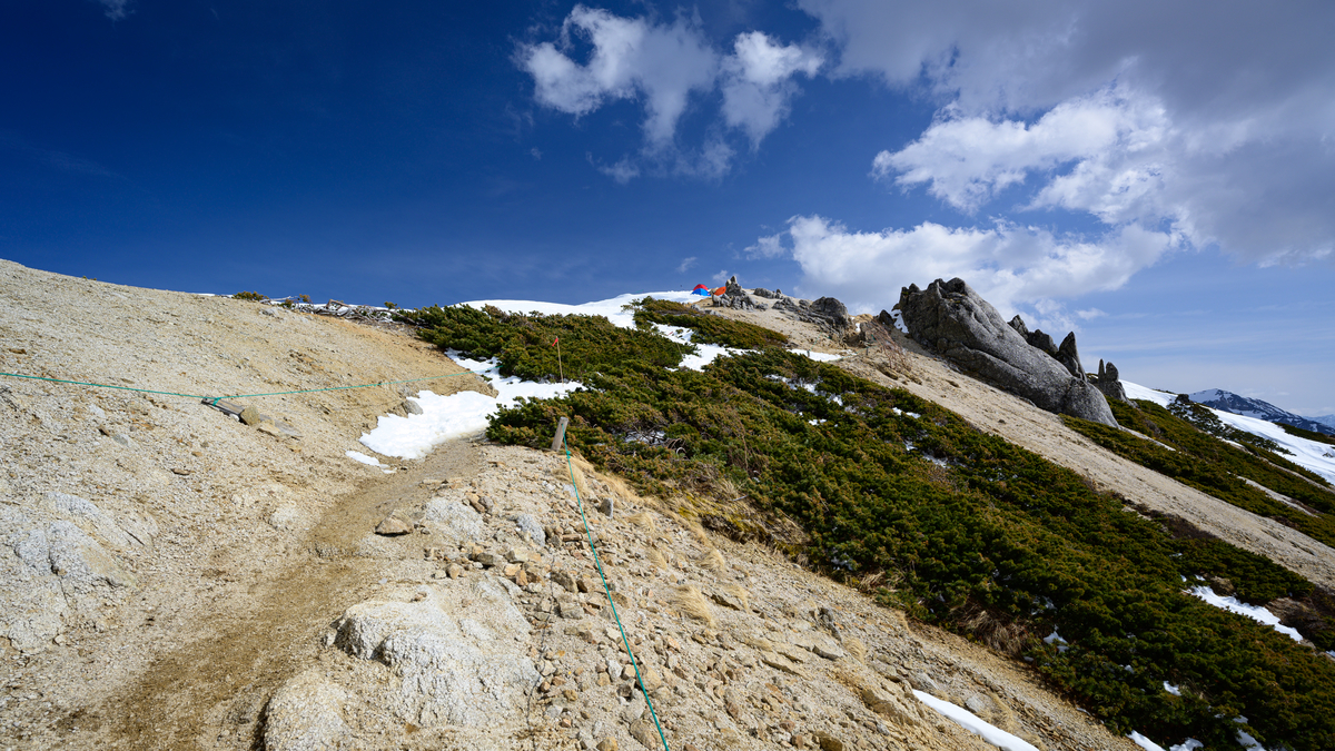 f:id:daitai_Iro:20210505213351j:plain