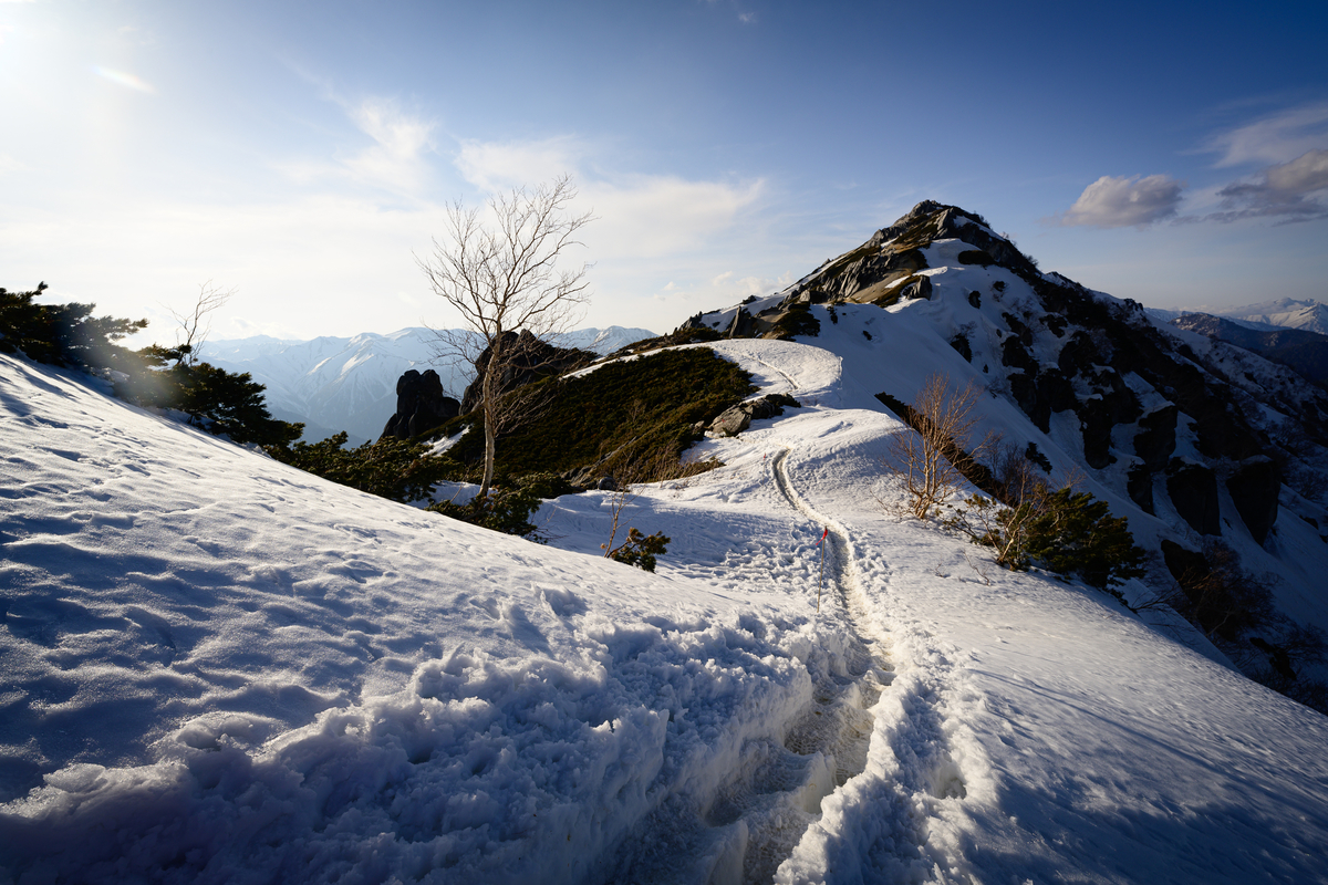 f:id:daitai_Iro:20210505214027j:plain