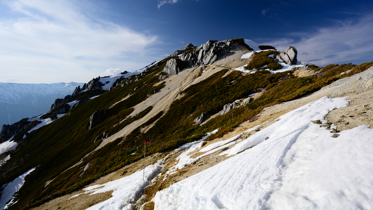 f:id:daitai_Iro:20210505214351j:plain