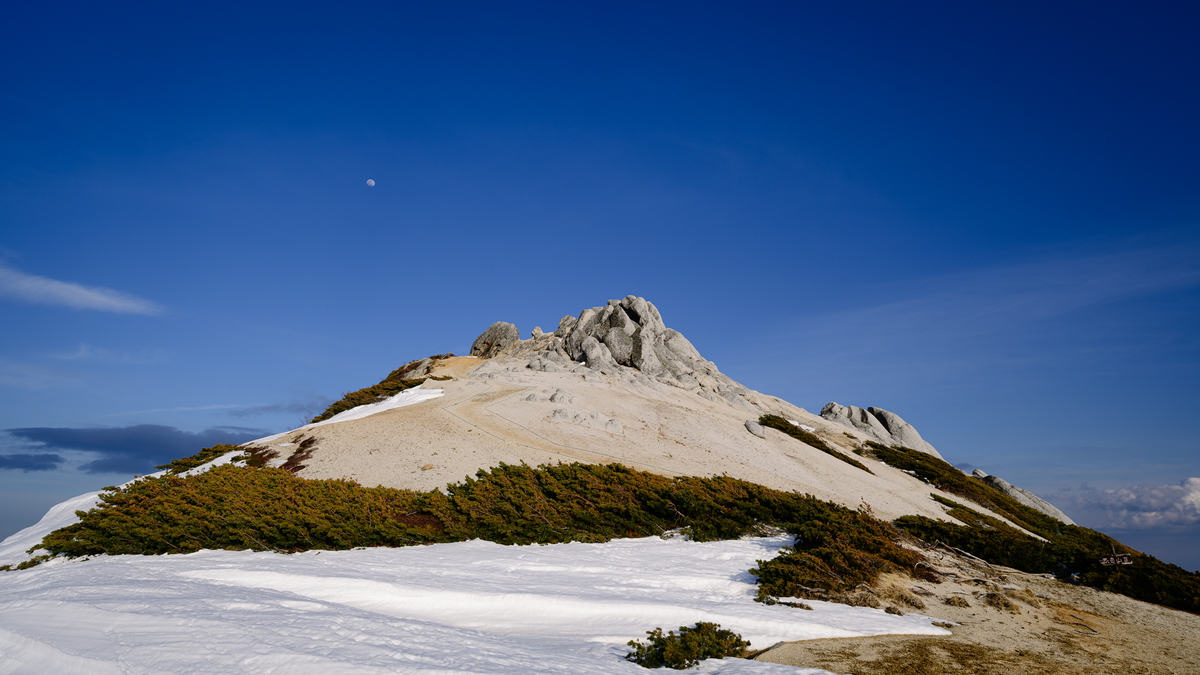 f:id:daitai_Iro:20210505215730j:plain