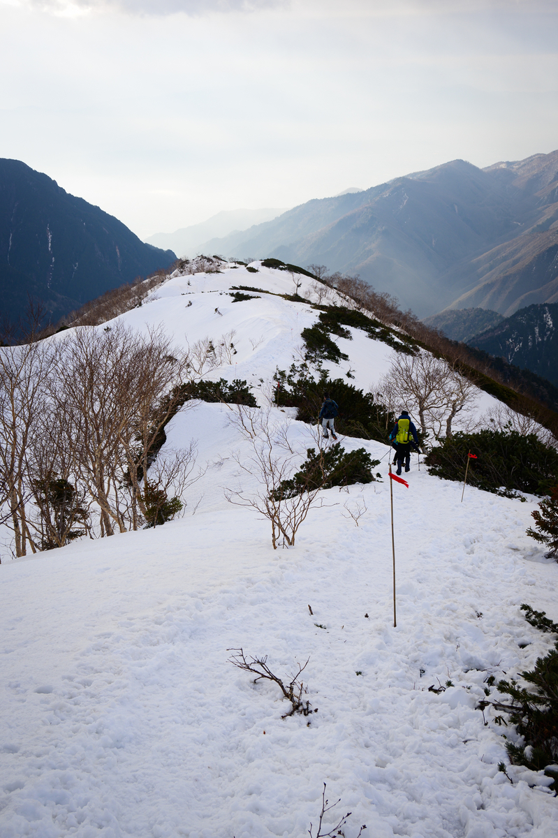 f:id:daitai_Iro:20210505221310j:plain