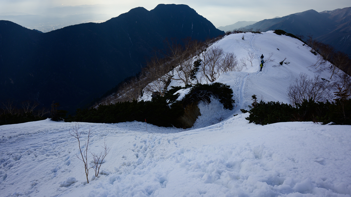 f:id:daitai_Iro:20210505221352j:plain