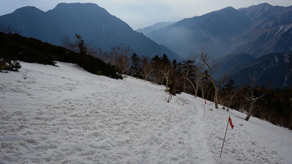 f:id:daitai_Iro:20210505221430j:plain